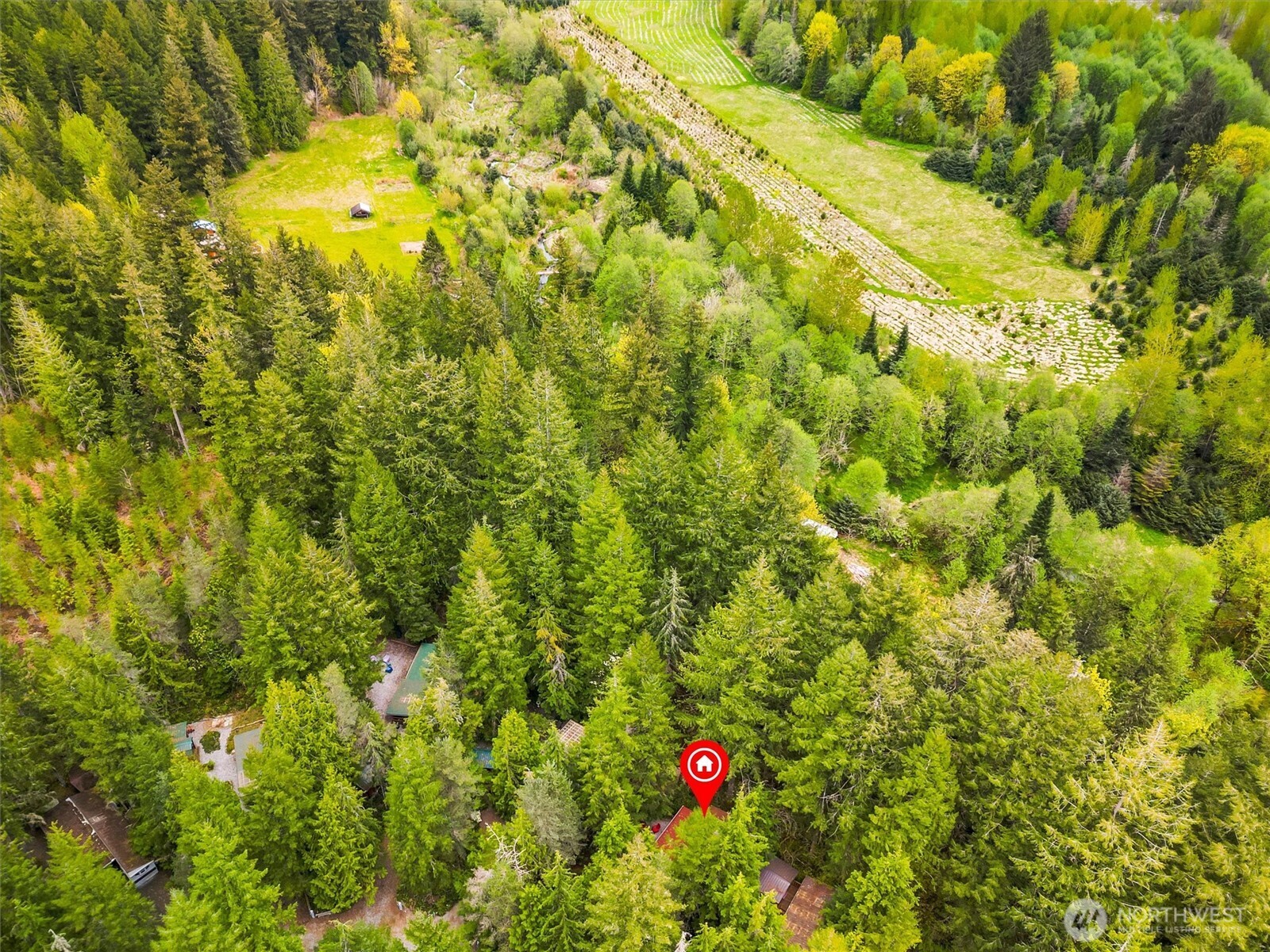 94 4 Christmas Tree Drive , Deming, WA 98244