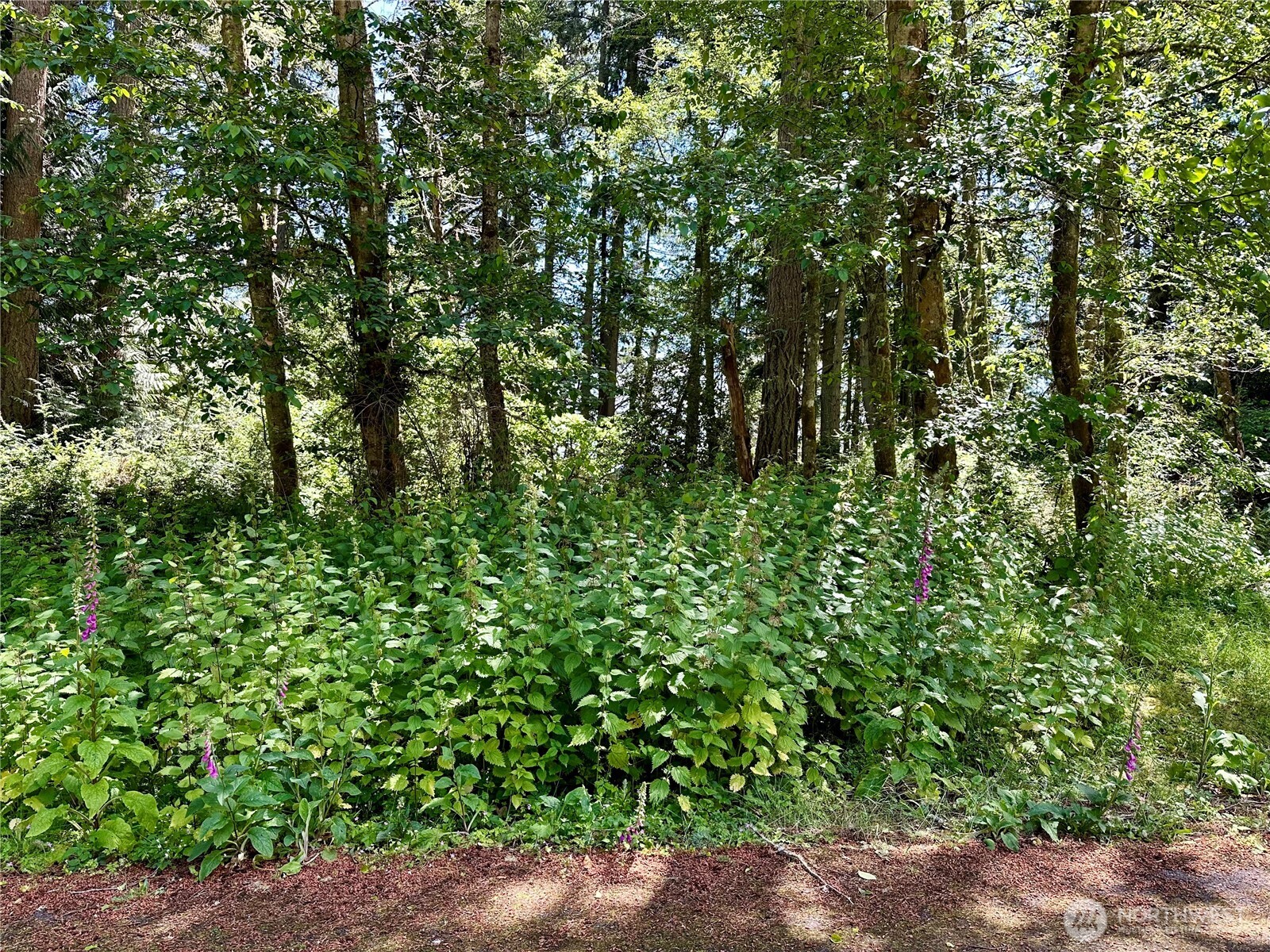 10312 Matthews , Anderson Island, WA 98303