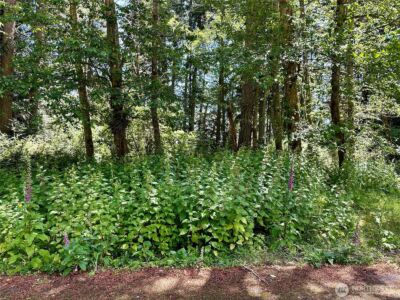 10312 Matthews , Anderson Island, WA 98303 - Photo 2