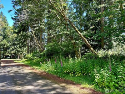 10312 Matthews , Anderson Island, WA 98303 - Photo 3