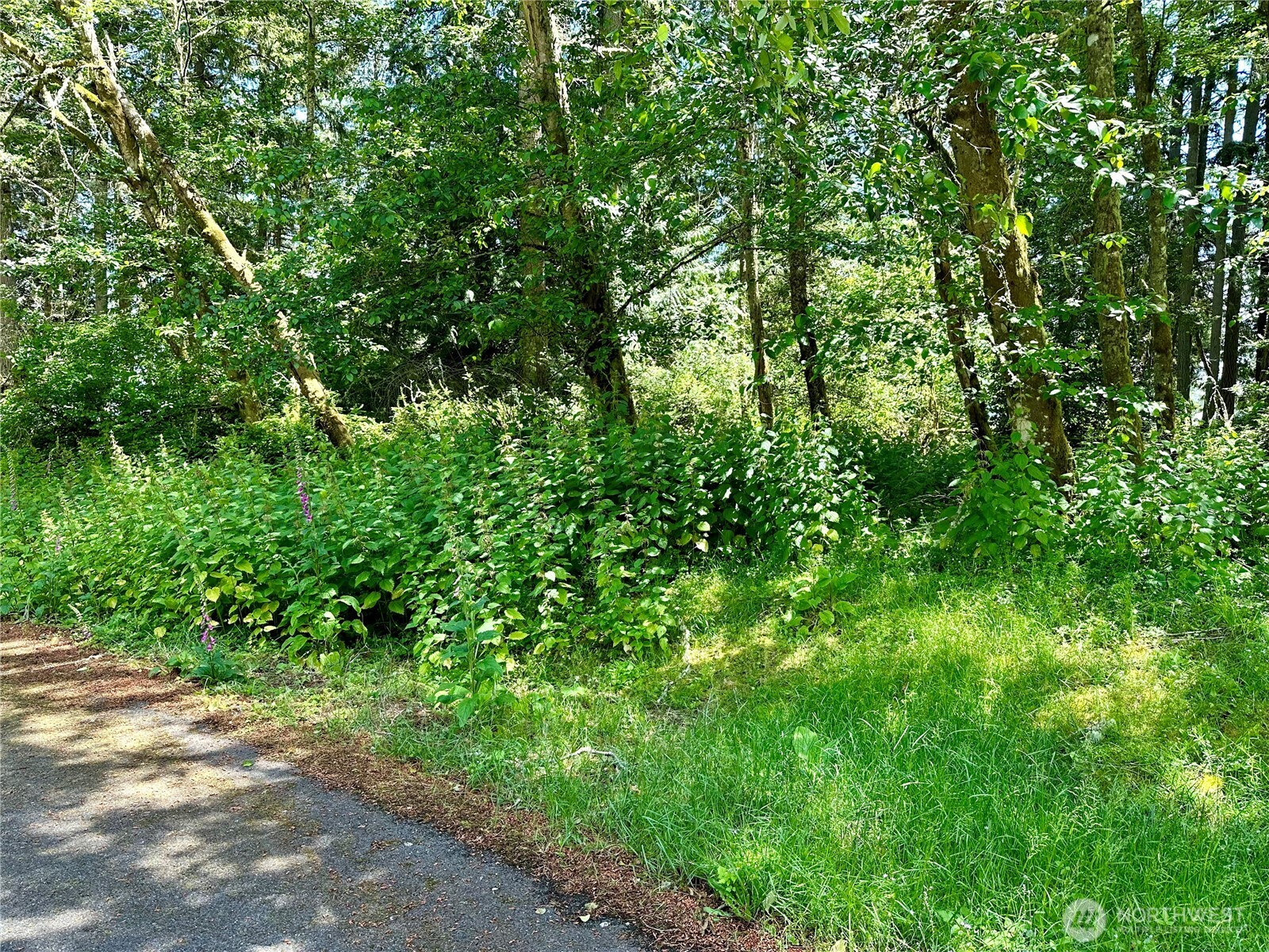 10312 Matthews , Anderson Island, WA 98303