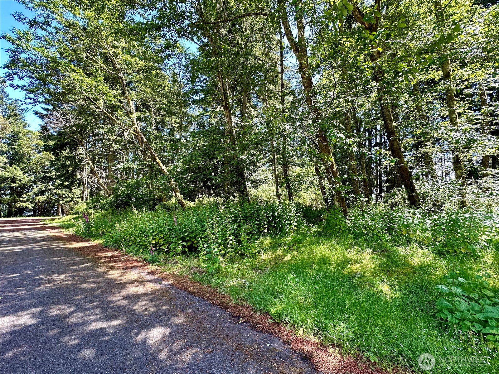 10312 Matthews , Anderson Island, WA 98303