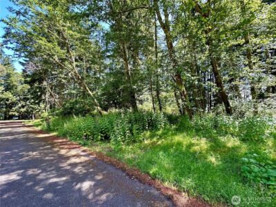 10312 Matthews , Anderson Island, WA 98303 - Photo 5