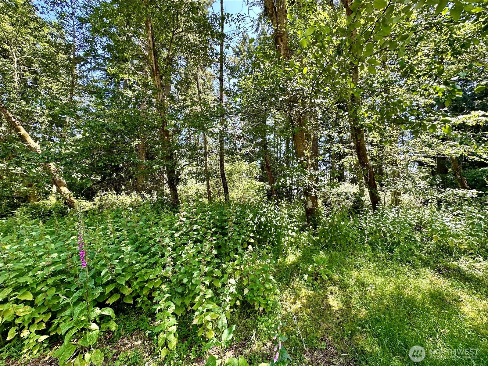 10312 Matthews , Anderson Island, WA 98303
