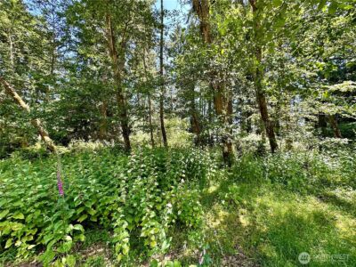10312 Matthews , Anderson Island, WA 98303 - Photo 6