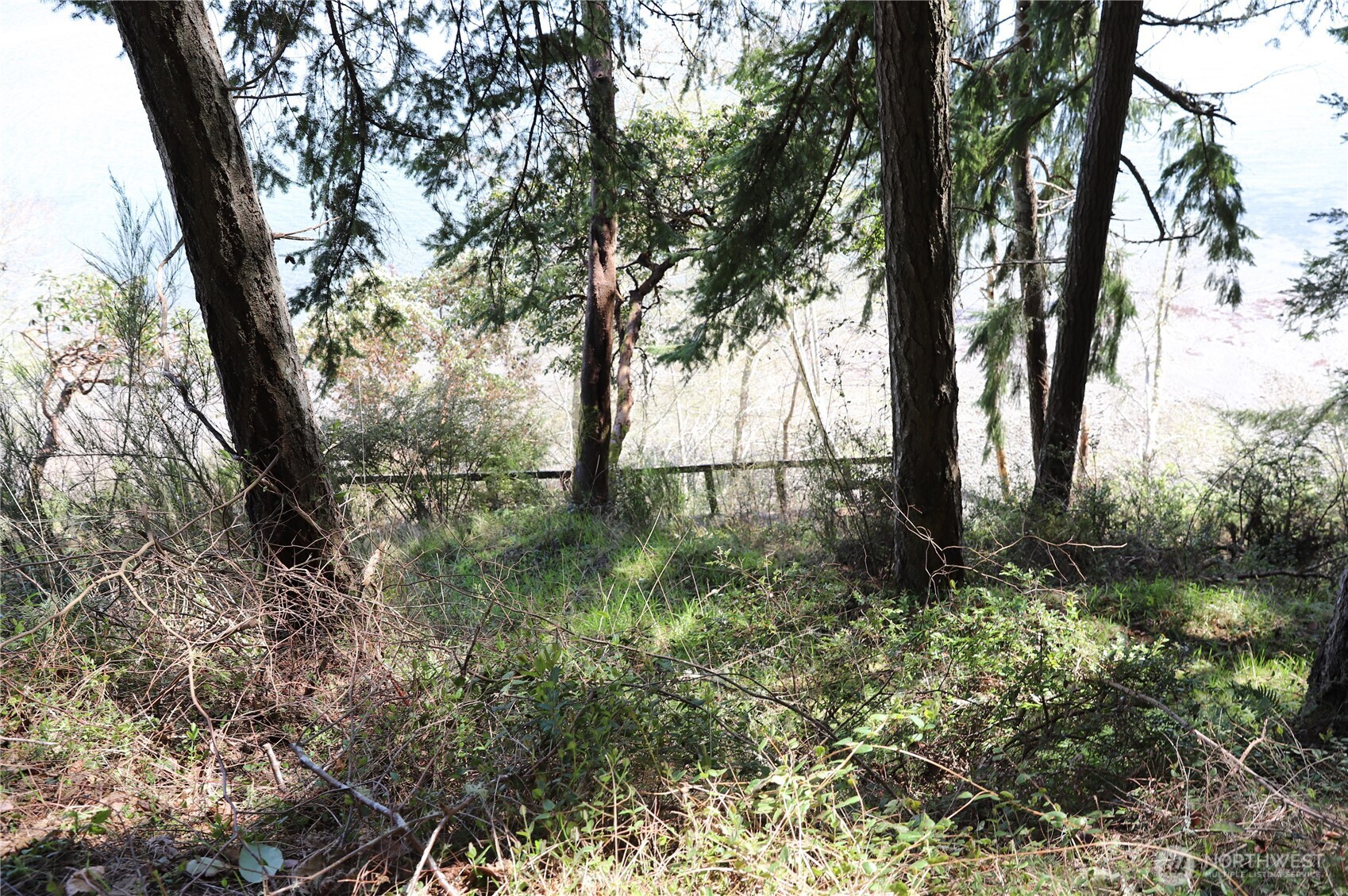 14811 71st Street NW, Lakebay, WA 98349