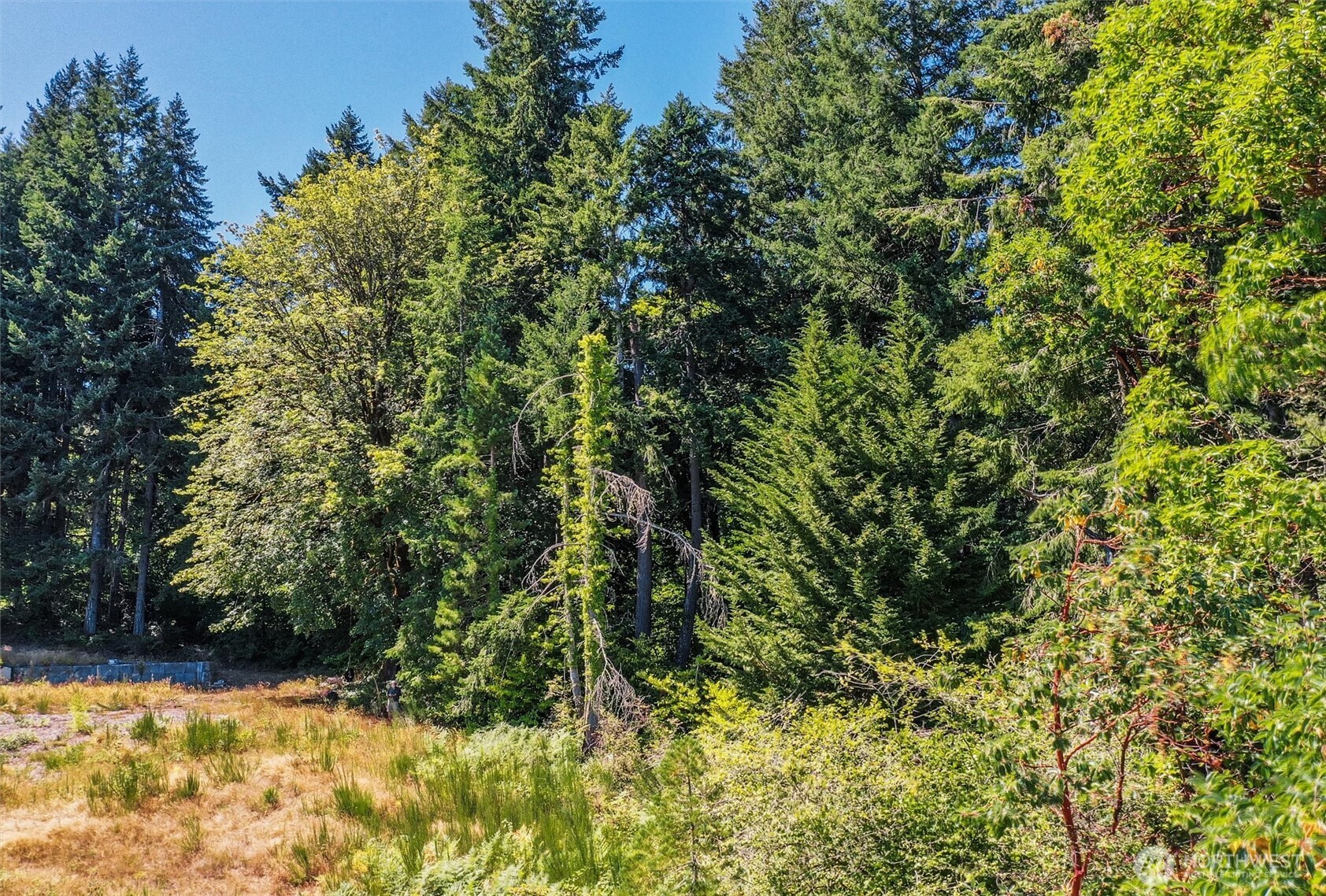 14811 71st Street NW, Lakebay, WA 98349