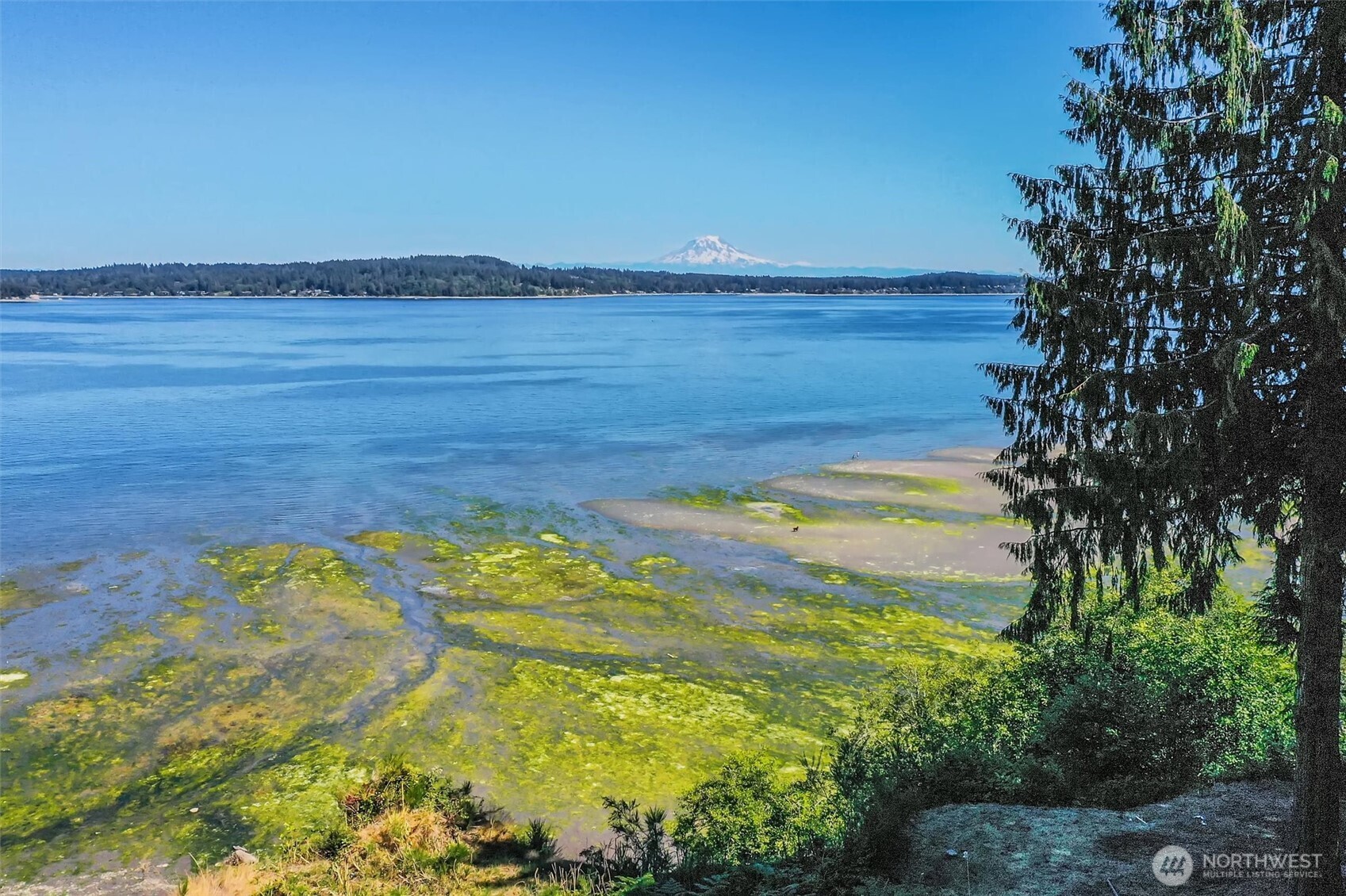 14811 71st Street NW, Lakebay, WA 98349