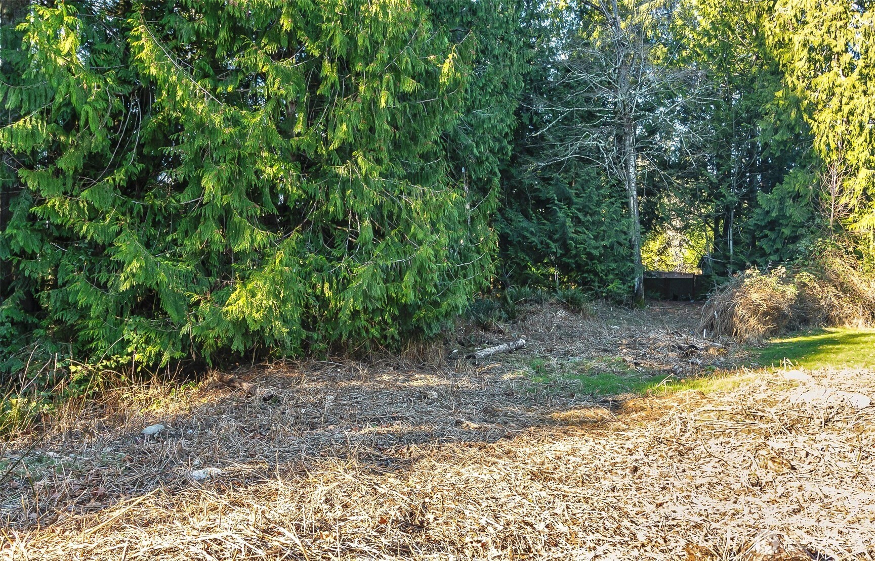 7810 213th Avenue SE, Snohomish, WA 98290