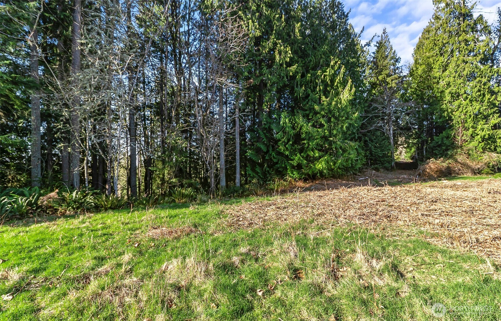 7810 213th Avenue SE, Snohomish, WA 98290
