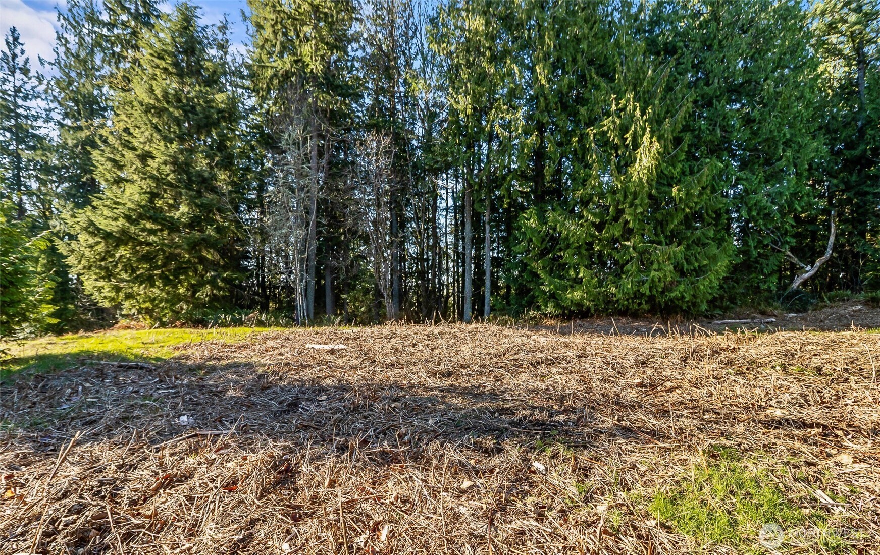 7810 213th Avenue SE, Snohomish, WA 98290