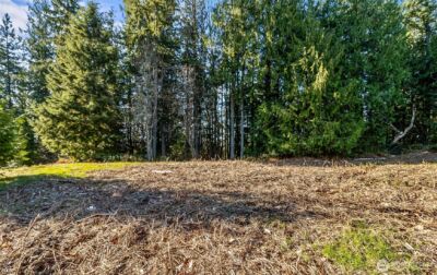 7810 213th Avenue SE, Snohomish, WA 98290 - Photo 7