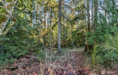0 1-213th Avenue SE, Snohomish, WA 98290 - Photo 9