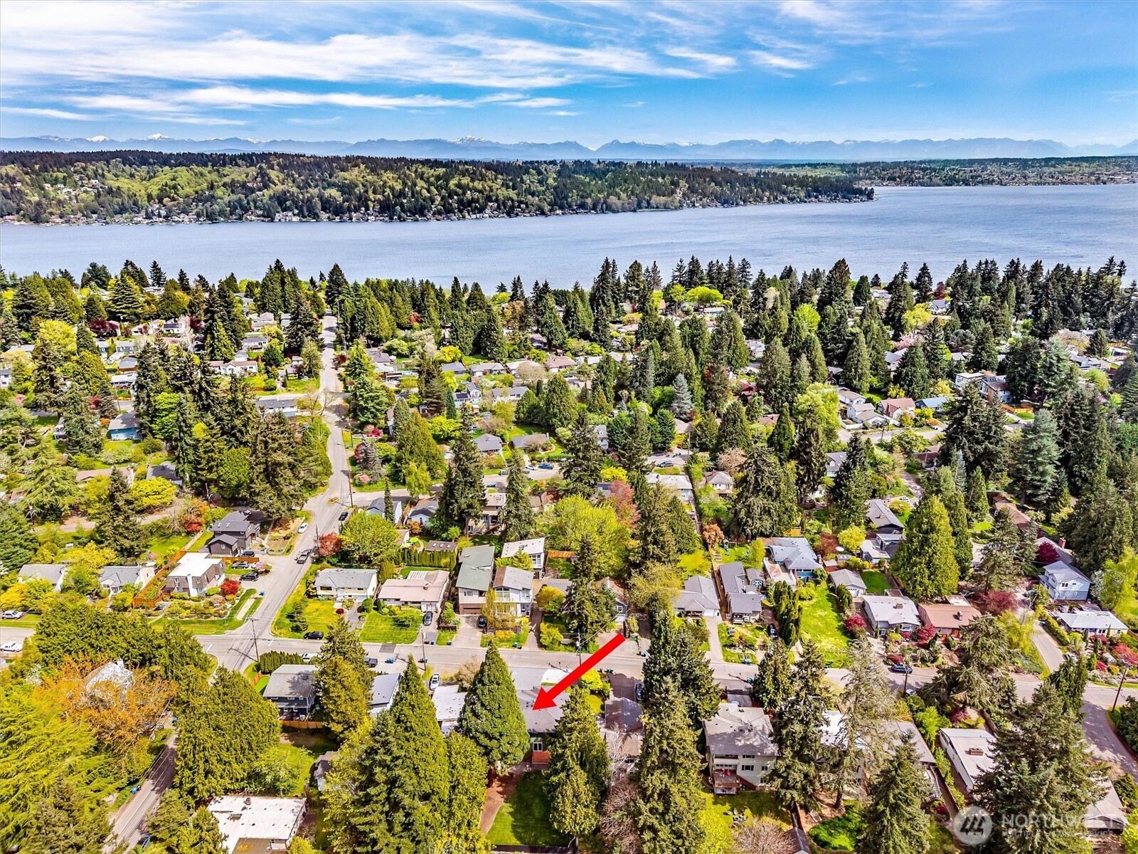 11339 40th Avenue NE, Seattle, WA 98125