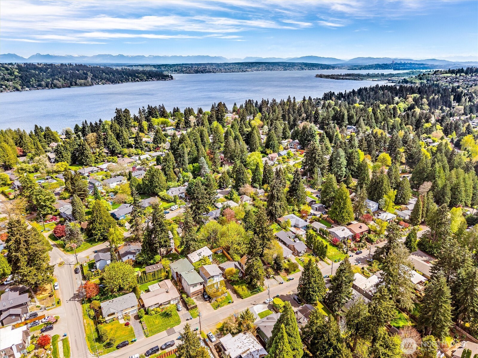 11339 40th Avenue NE, Seattle, WA 98125