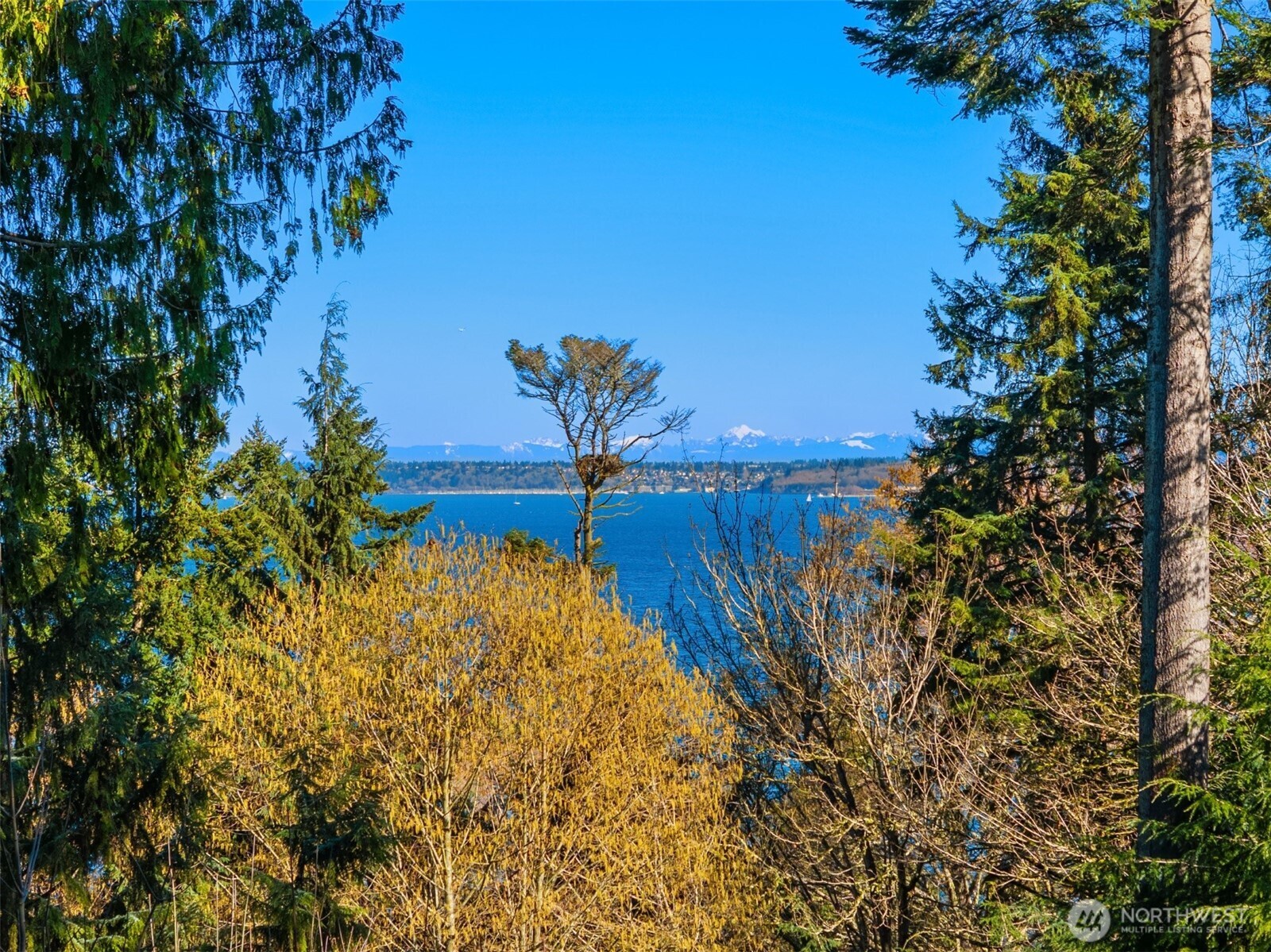 10700 NE Broomgerrie Road , Bainbridge Island, WA 98110