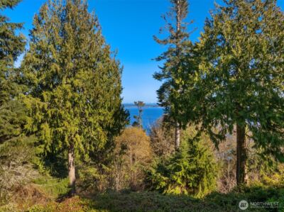 10700 NE Broomgerrie Road , Bainbridge Island, WA 98110 - Photo 33