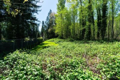 0 XXX Mountain View Boulevard SE, North Bend, WA 98045 - Photo 11