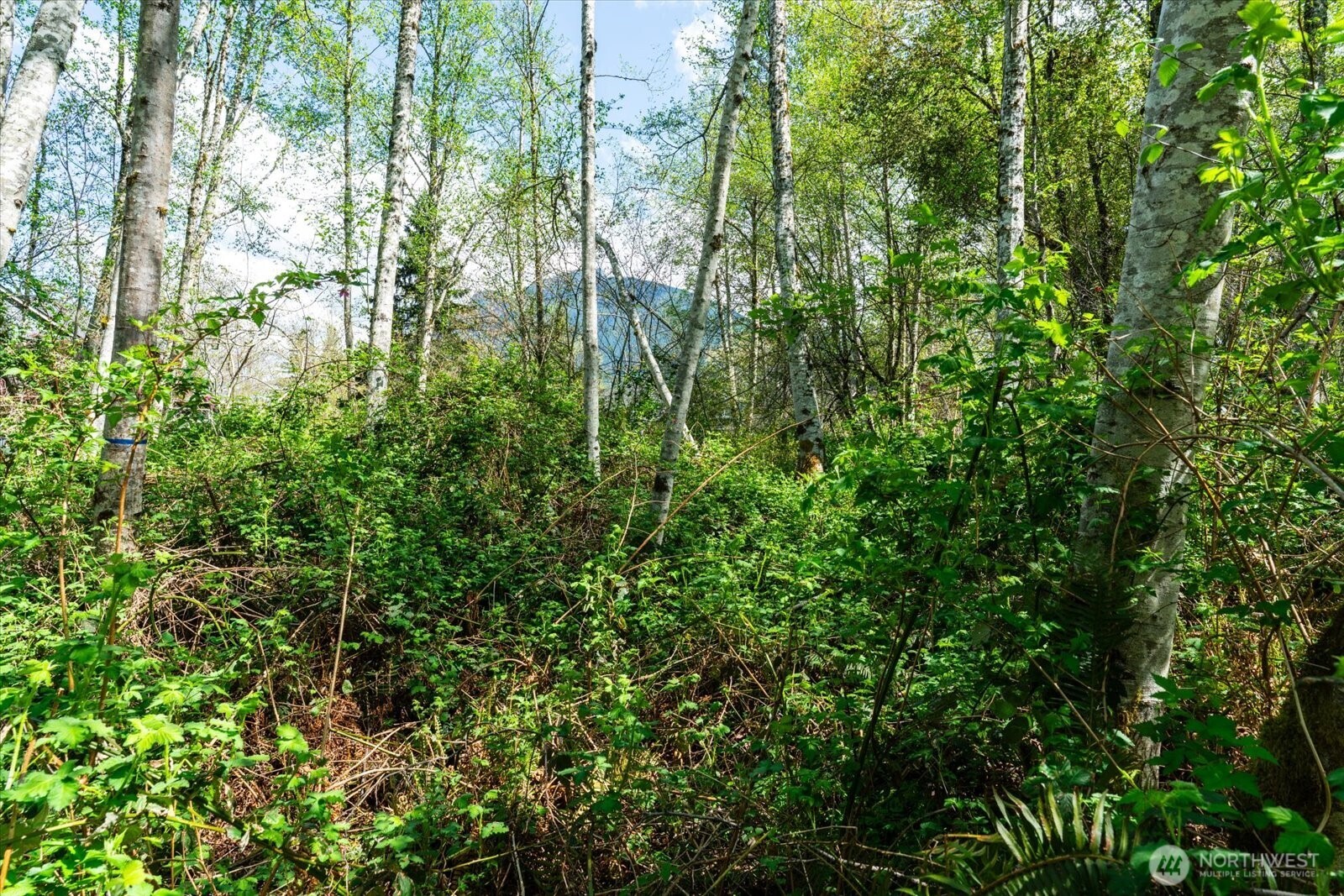 0 XXX Mountain View Boulevard SE, North Bend, WA 98045