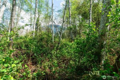 0 XXX Mountain View Boulevard SE, North Bend, WA 98045 - Photo 14