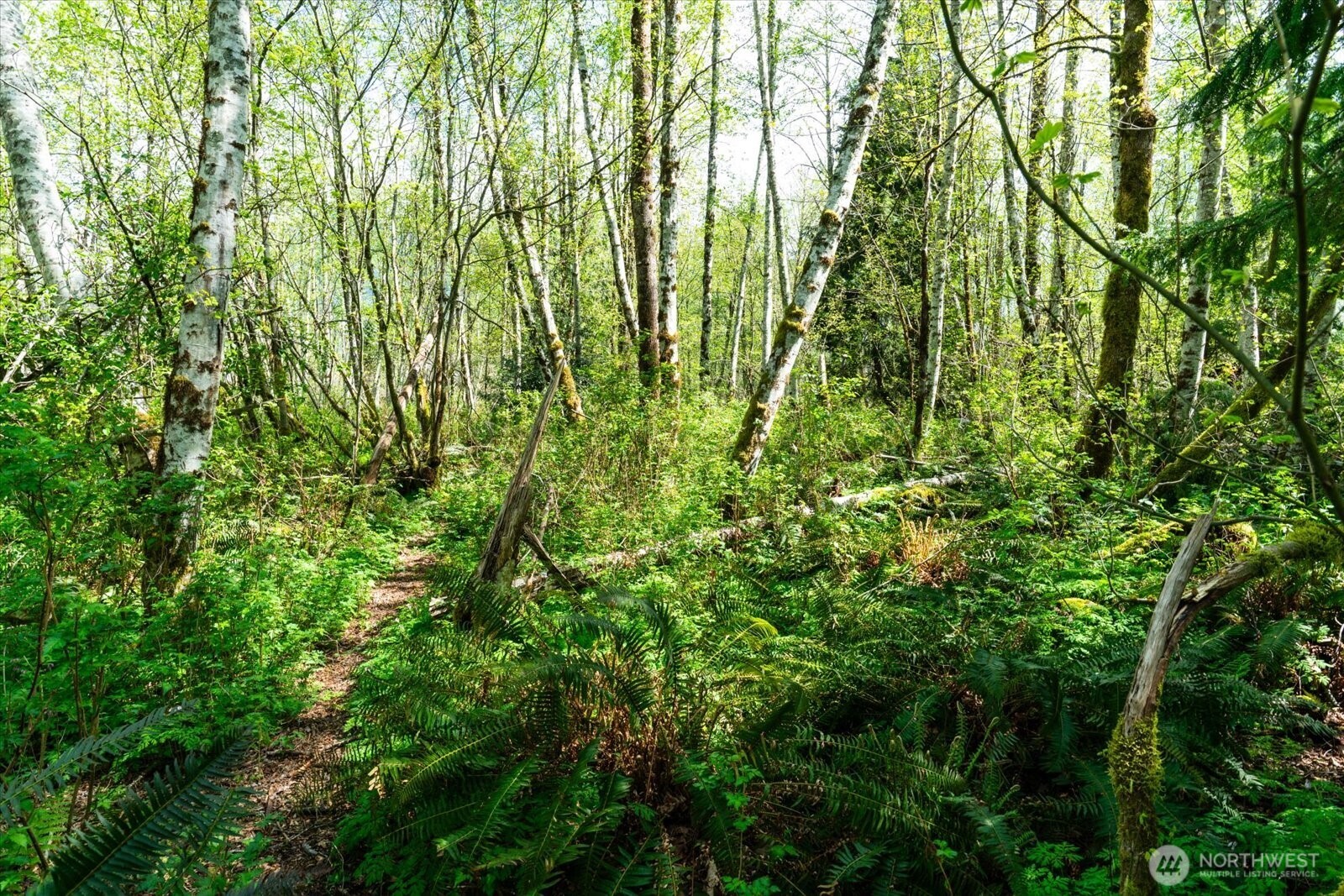 0 XXX Mountain View Boulevard SE, North Bend, WA 98045