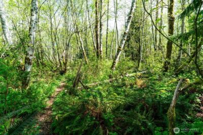 0 XXX Mountain View Boulevard SE, North Bend, WA 98045 - Photo 15