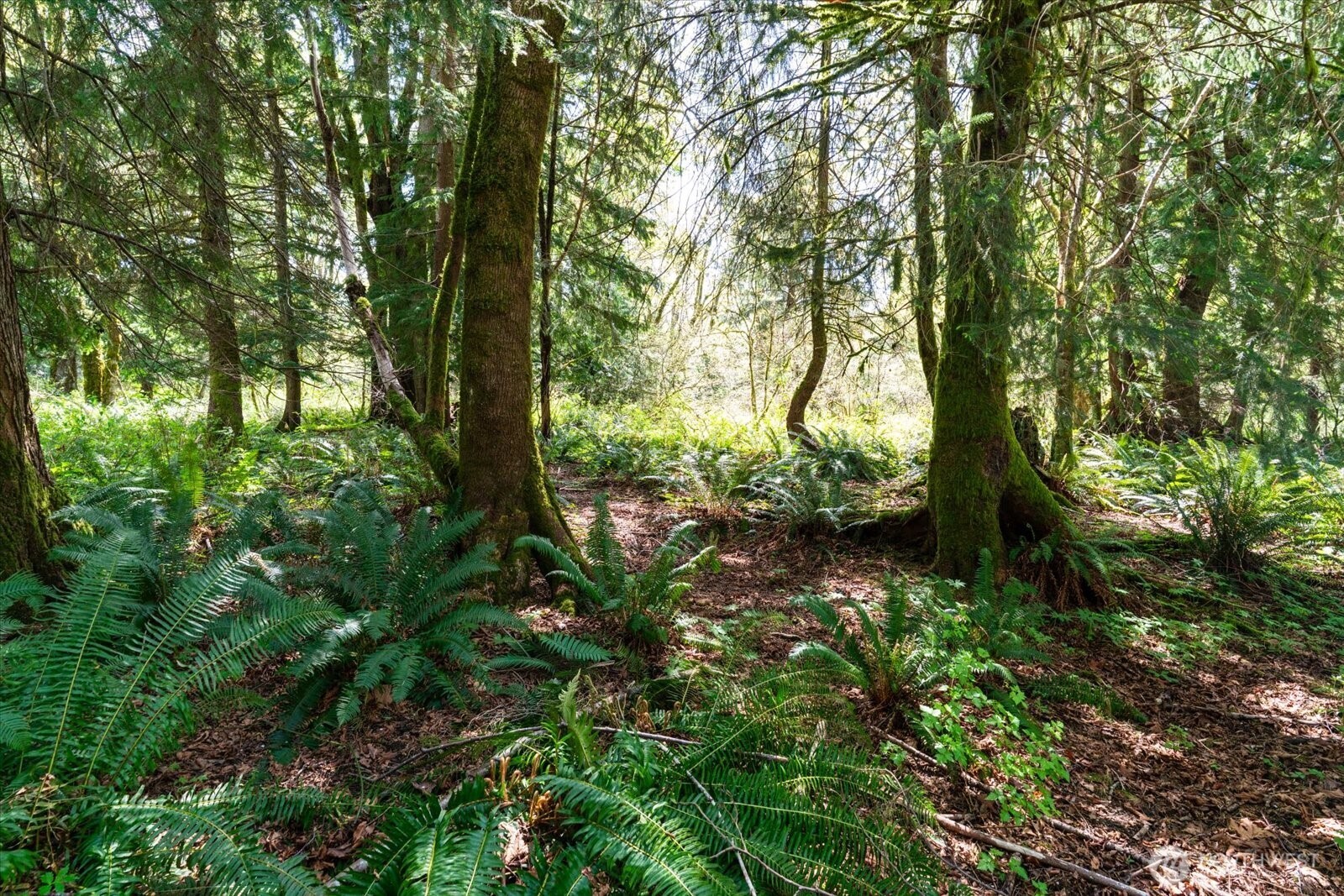 0 XXX Mountain View Boulevard SE, North Bend, WA 98045