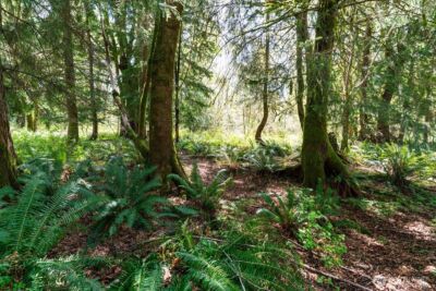 0 XXX Mountain View Boulevard SE, North Bend, WA 98045 - Photo 16