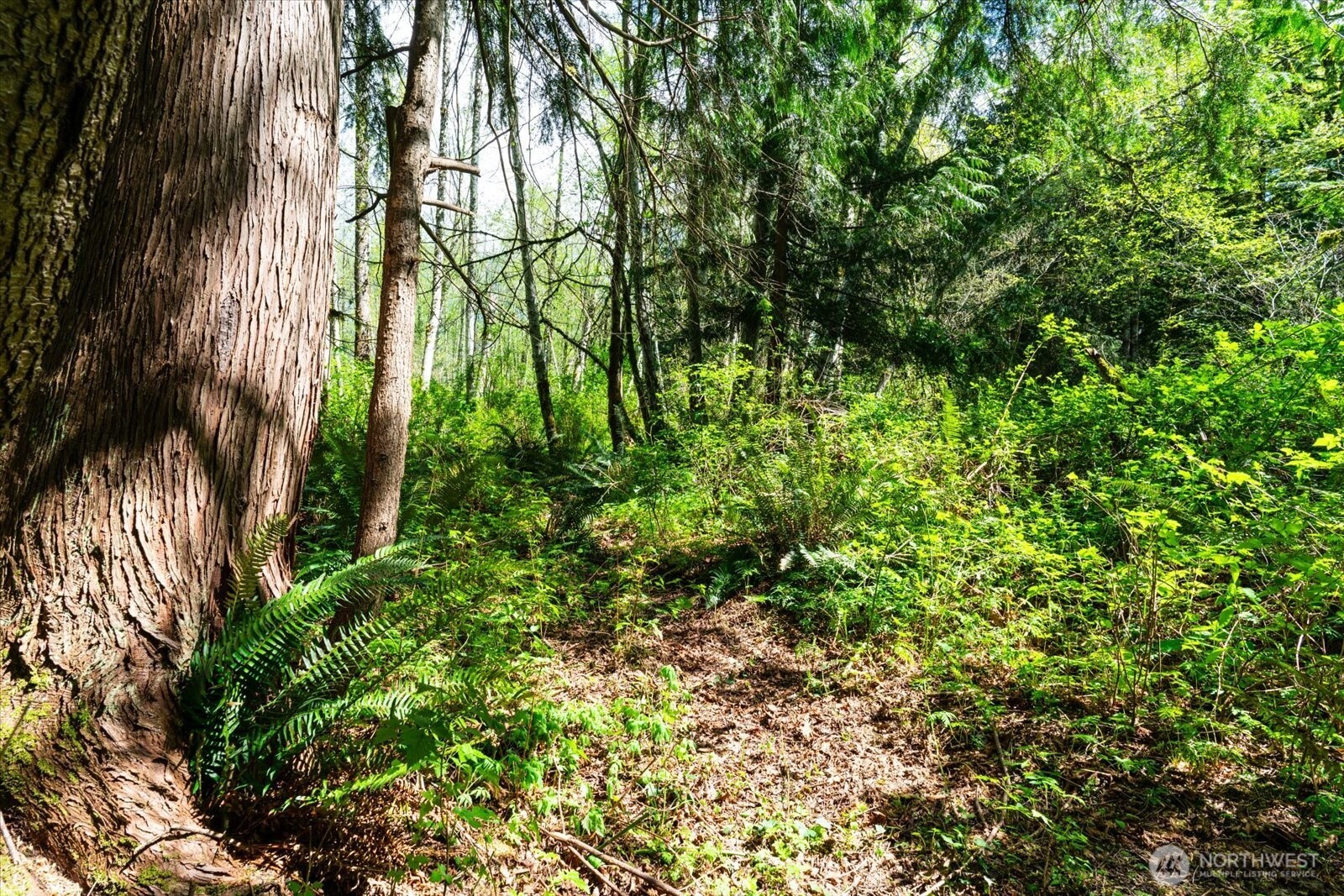0 XXX Mountain View Boulevard SE, North Bend, WA 98045