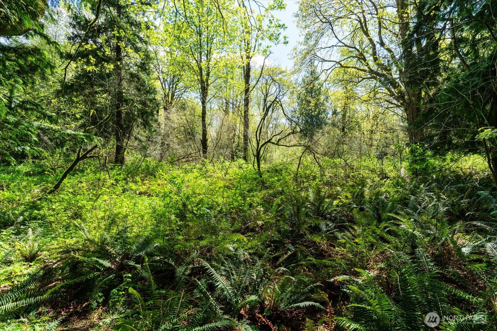 0 XXX Mountain View Boulevard SE, North Bend, WA 98045