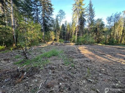 211 W New Moon Lane , Matlock, WA 98560 - Photo 15