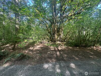 211 W New Moon Lane , Matlock, WA 98560 - Photo 30