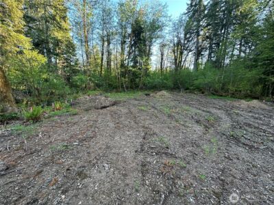 211 W New Moon Lane , Matlock, WA 98560 - Photo 10
