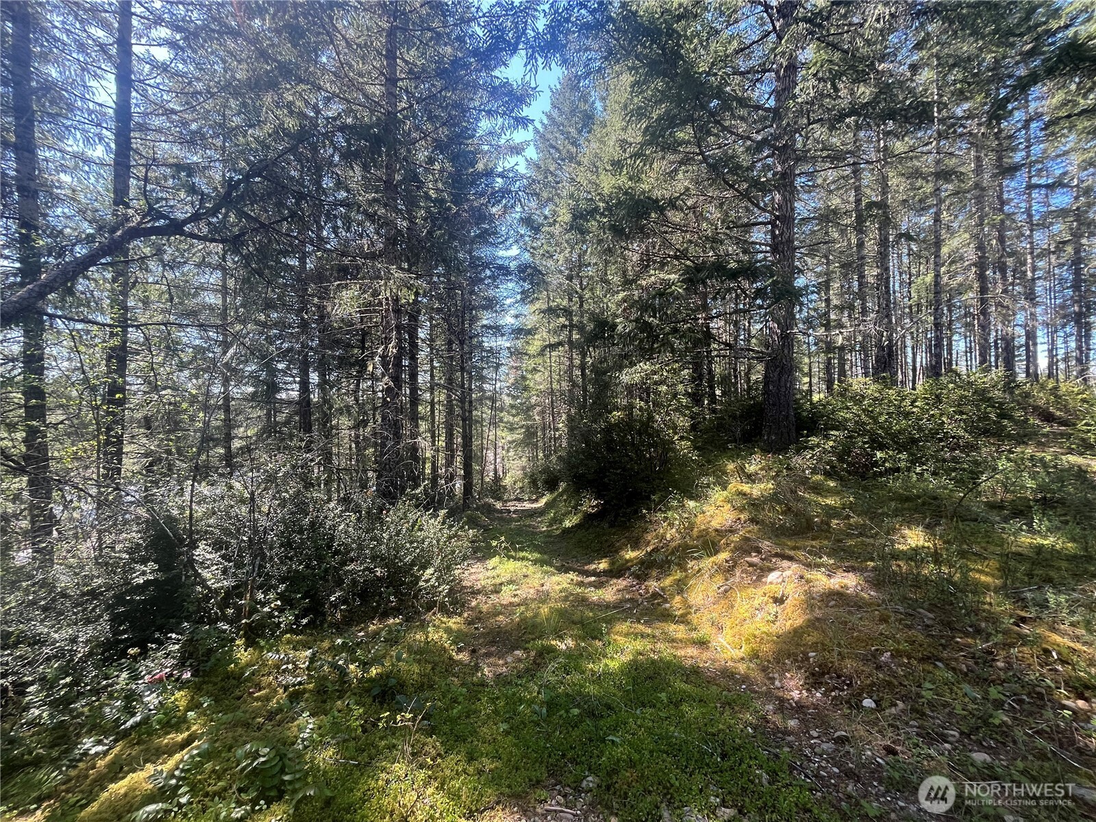 5201 E Brockdale Road , Shelton, WA 98584