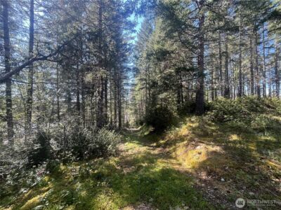 5201 E Brockdale Road , Shelton, WA 98584 - Photo 29