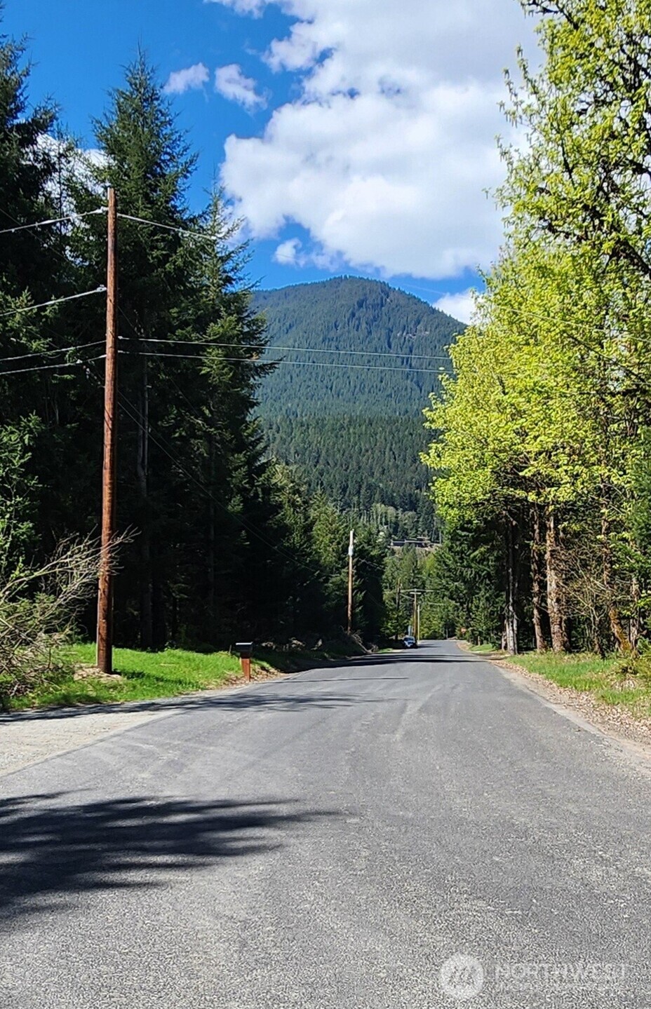 113 Cottonwood Lane , Packwood, WA 98361