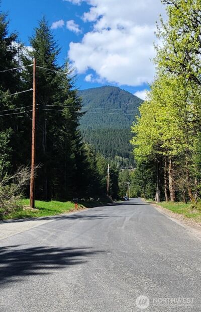 113 Cottonwood Lane , Packwood, WA 98361 - Photo 15