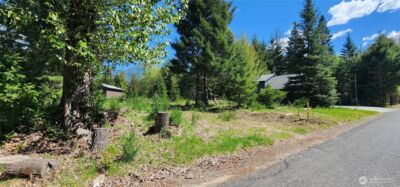 113 Cottonwood Lane , Packwood, WA 98361 - Photo 2