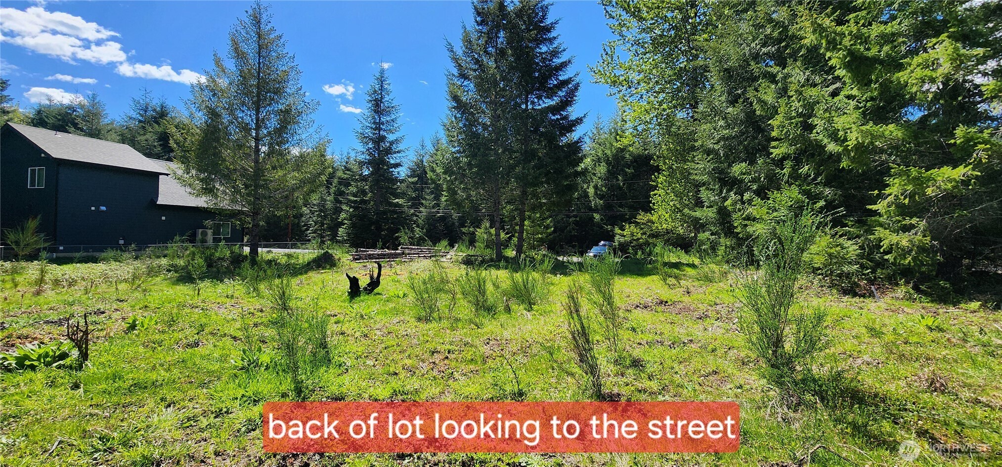 113 Cottonwood Lane , Packwood, WA 98361