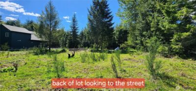 113 Cottonwood Lane , Packwood, WA 98361 - Photo 3