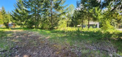113 Cottonwood Lane , Packwood, WA 98361 - Photo 4