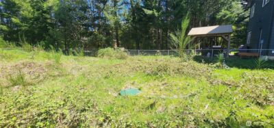 113 Cottonwood Lane , Packwood, WA 98361 - Photo 7