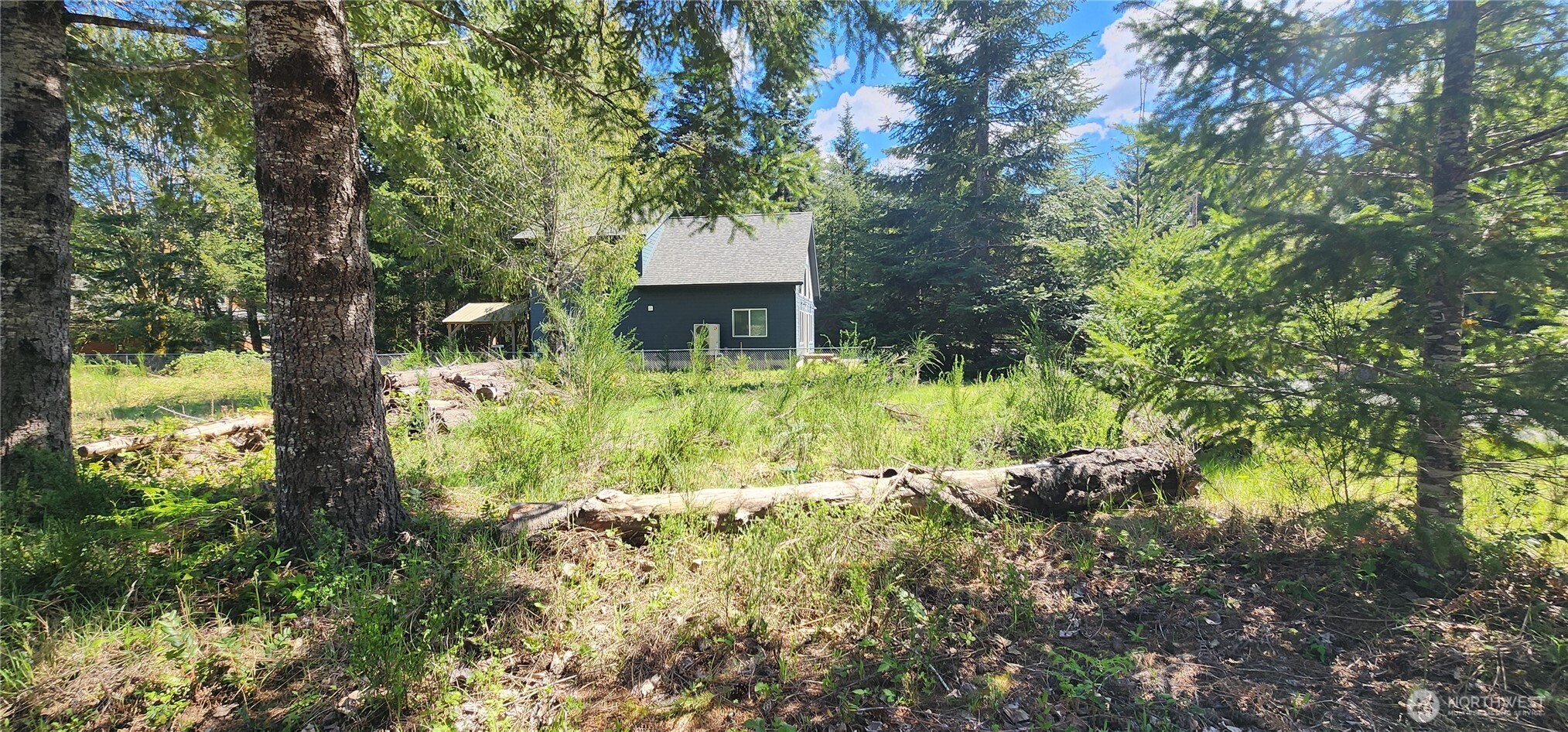 113 Cottonwood Lane , Packwood, WA 98361