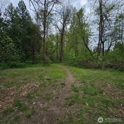 16900 Kalmia Court SE, Yelm, WA 98597 - Photo 34