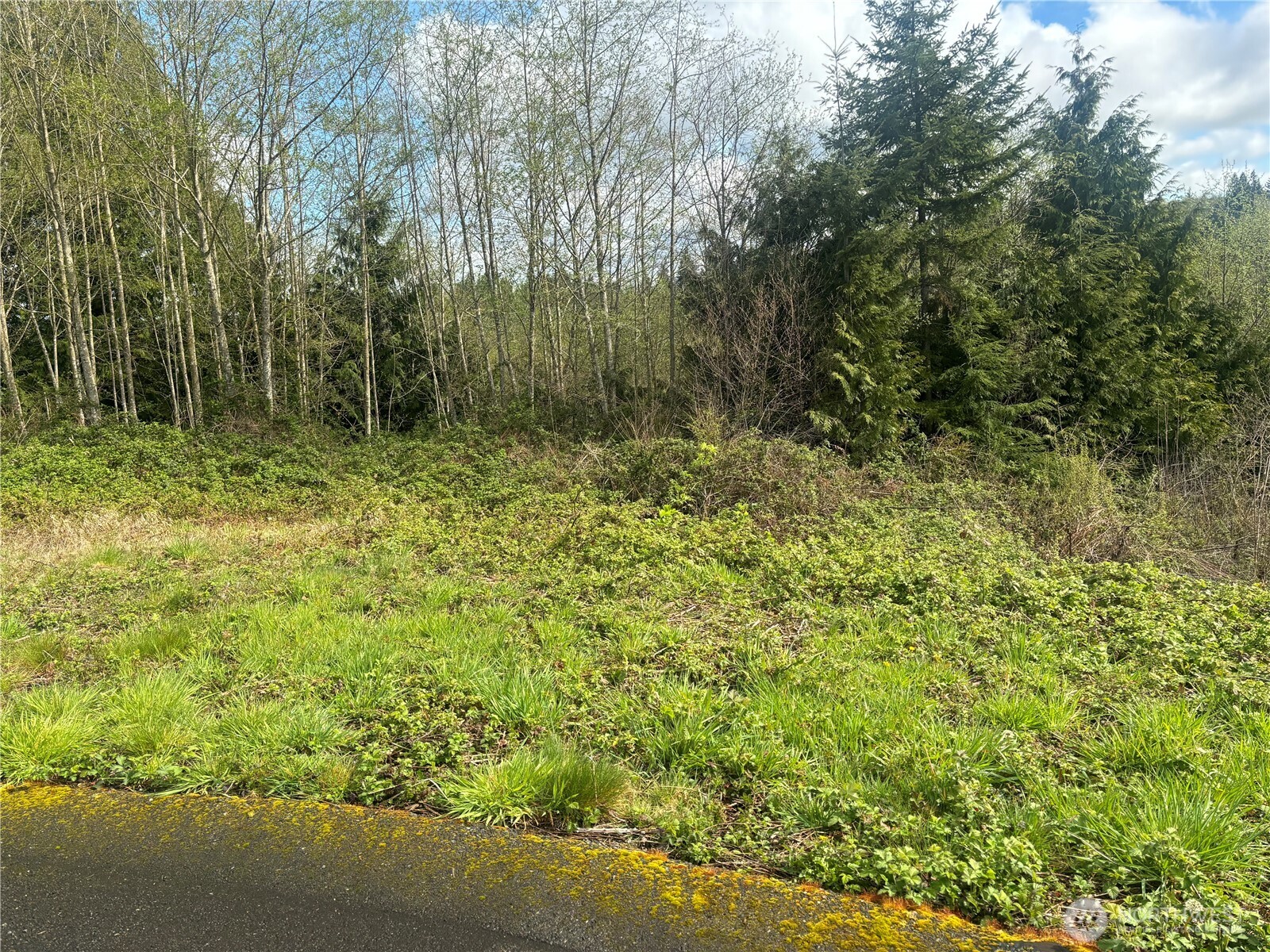 10 Timber Lane , Elma, WA 98541