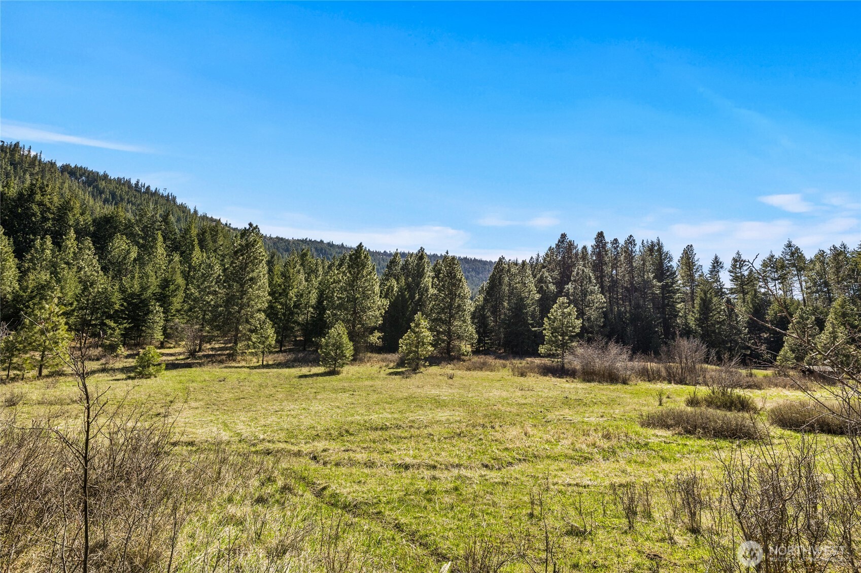 32 Thornton Creek Lane , Cle Elum, WA 98922