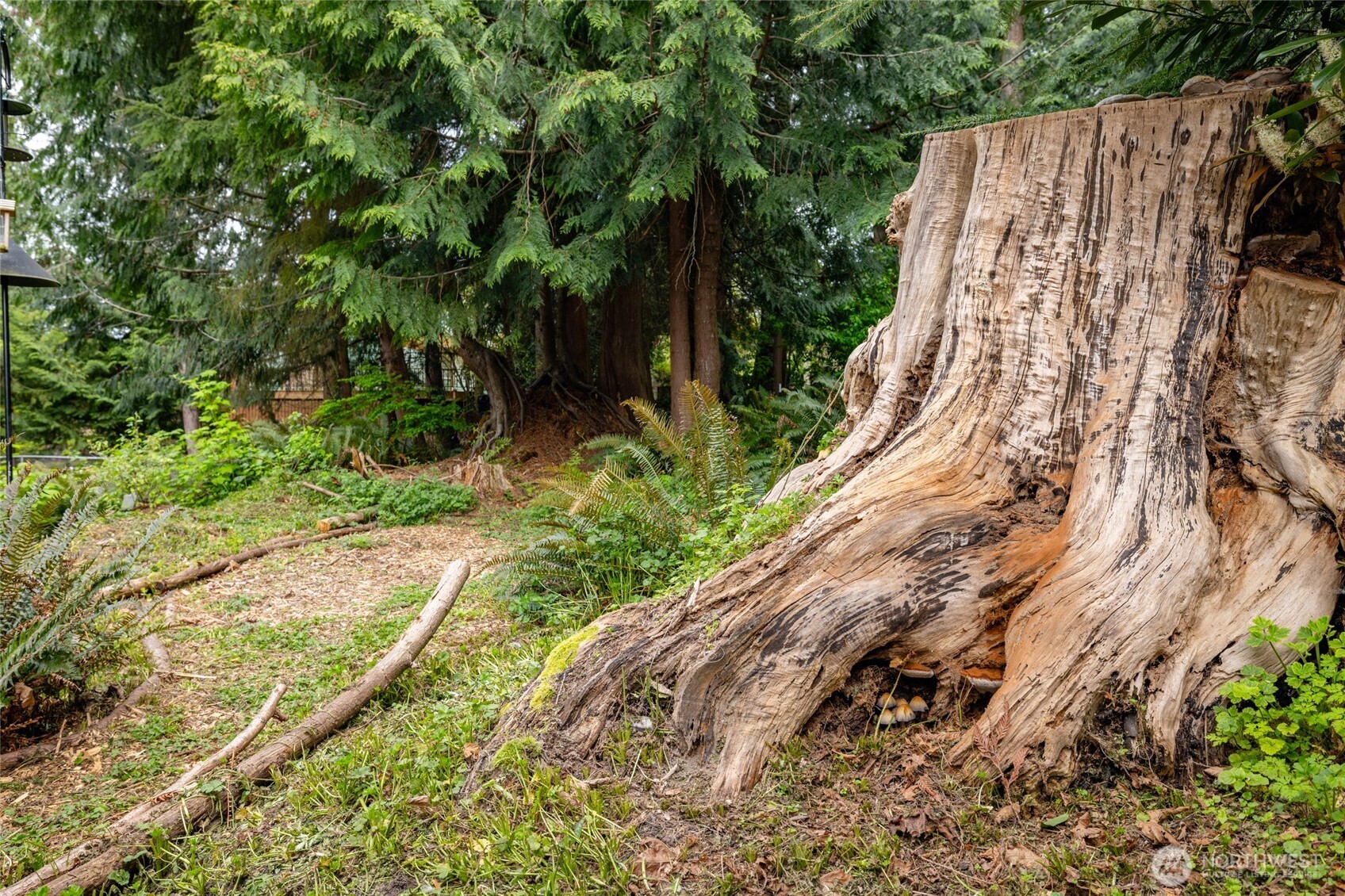 705 N Waugh Road , Mount Vernon, WA 98273