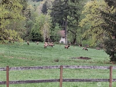 25906 272nd Avenue SE, Ravensdale, WA 98051 - Photo 40