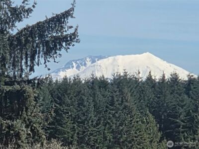 124 Gunnell Road , Winlock, WA 98596 - Photo 39