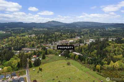 0 SE Cowlitz Road , Winlock, WA 98596 - Photo 12